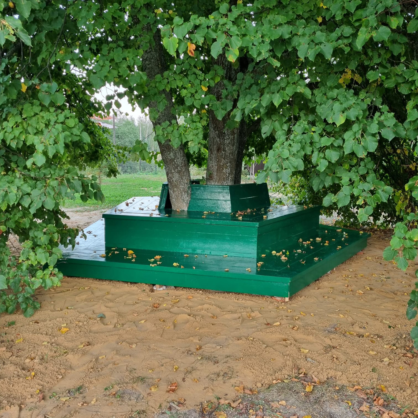 собака в палатке